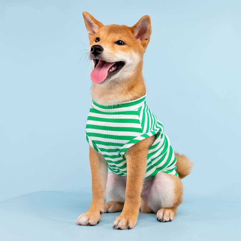犬服 普段着Tシャツ