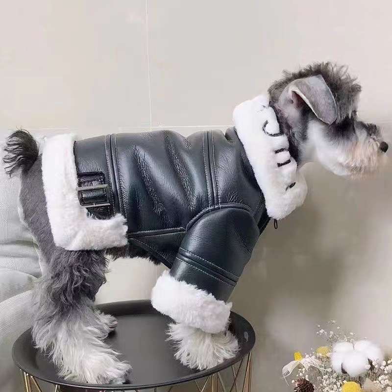 犬服 高級感あふれる革ジャケット風コート