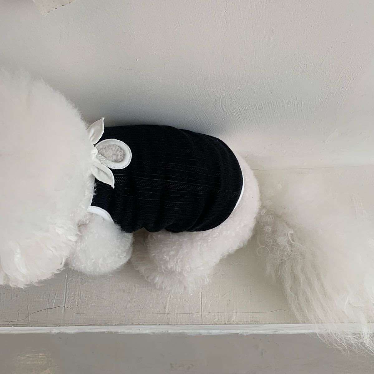 犬服 わんちゃんのリボン付きニットベスト