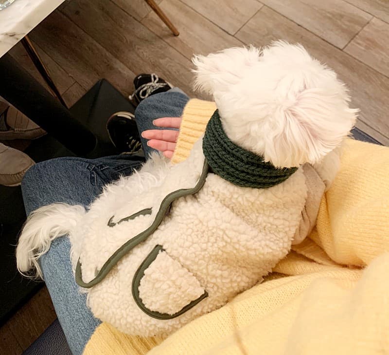 犬服 もこもこボアポケットコート