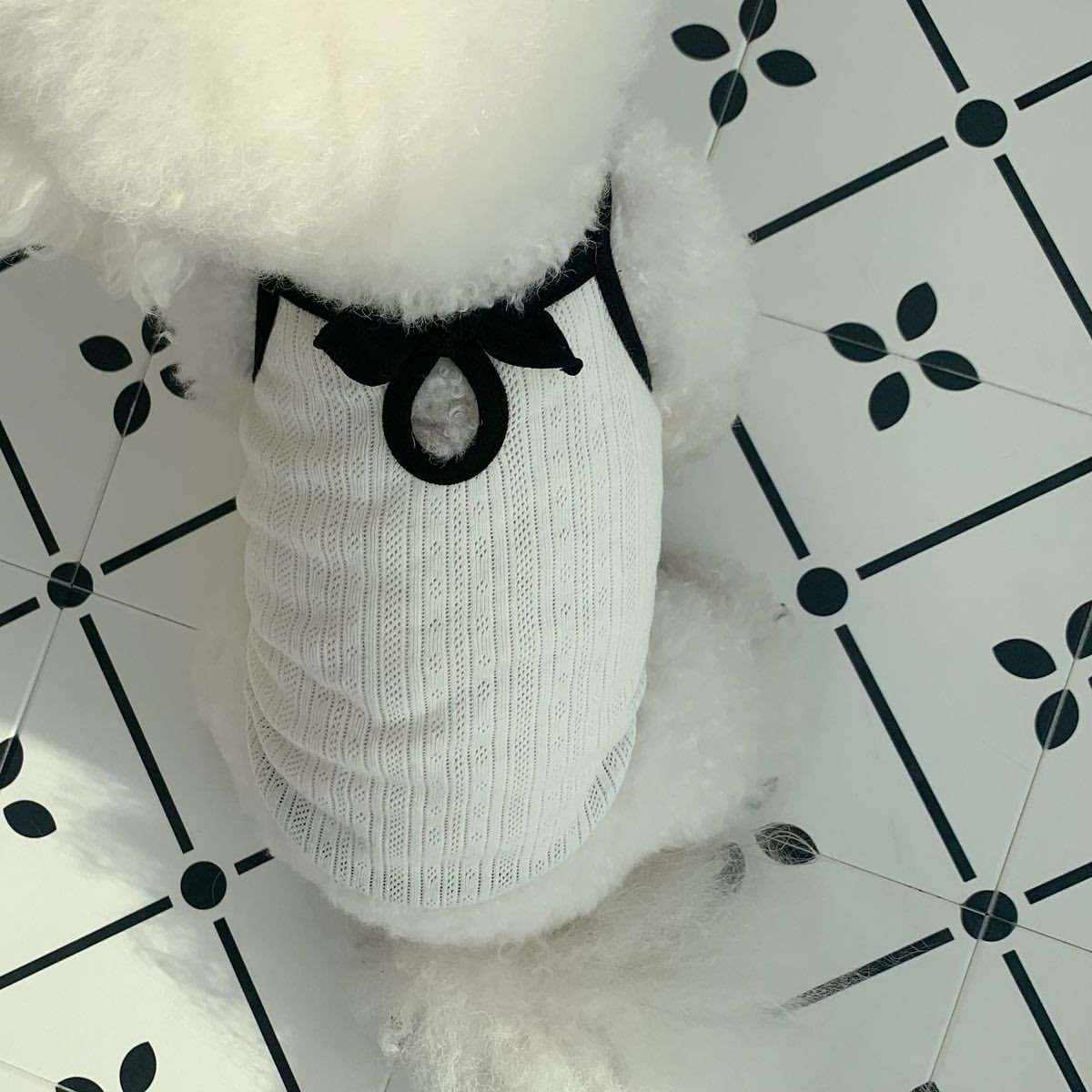 犬服 わんちゃんのリボン付きニットベスト