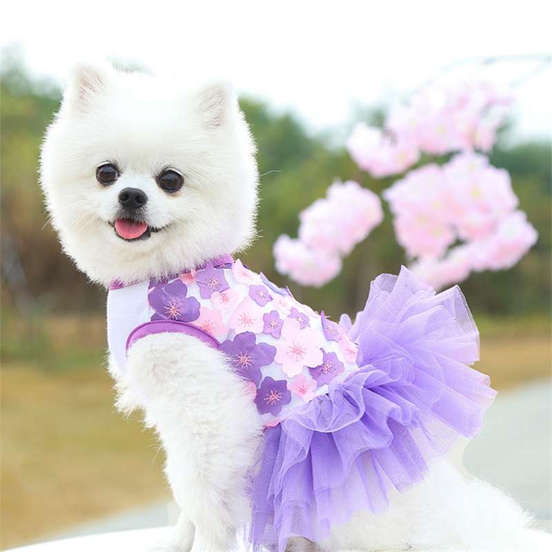 犬服 ふわふわチュチュワンピース