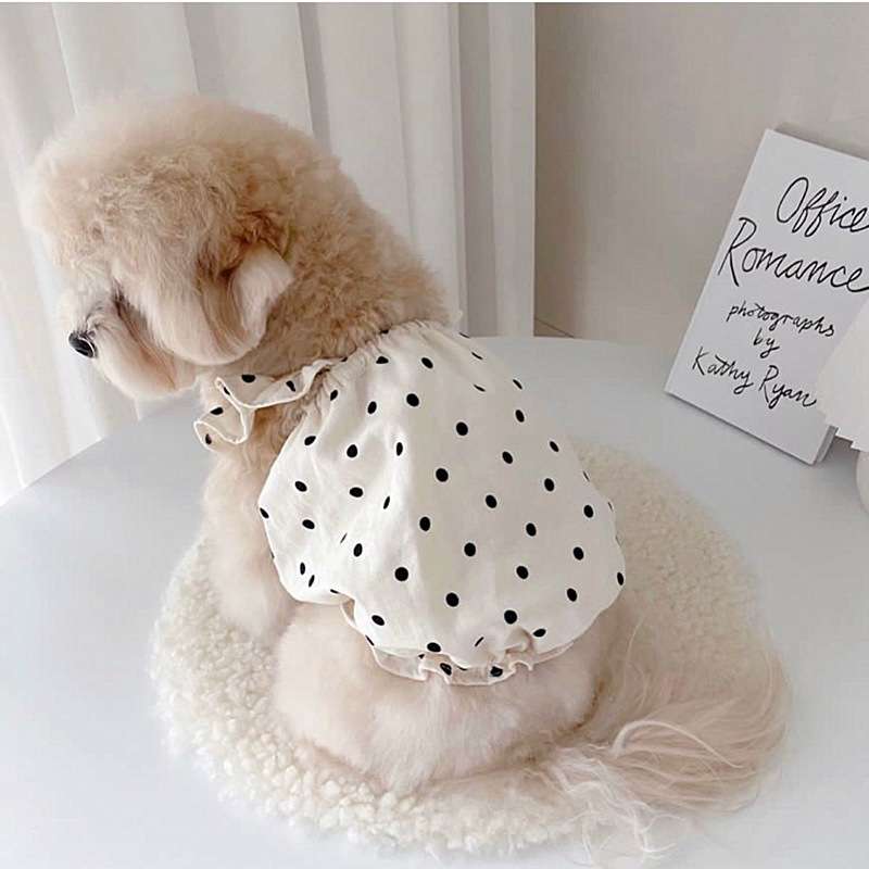 犬服 水玉模様のフリルワンピース