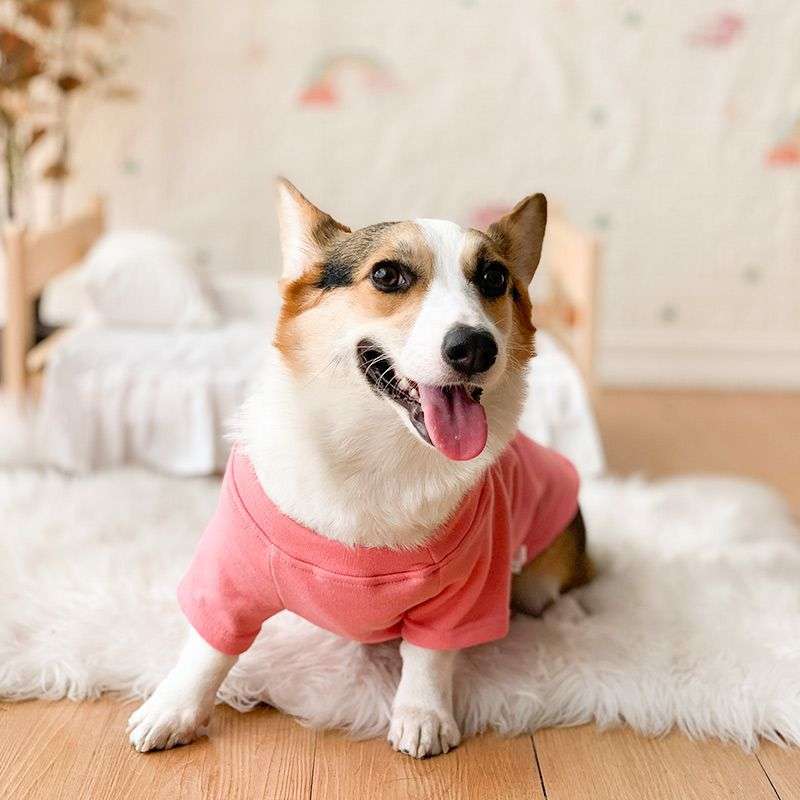 犬服 もこもこ素材の小型〜中型犬用ルームウェア