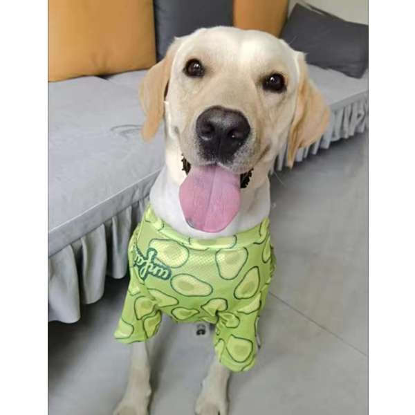 犬服 アボカド柄の犬用Tシャツ