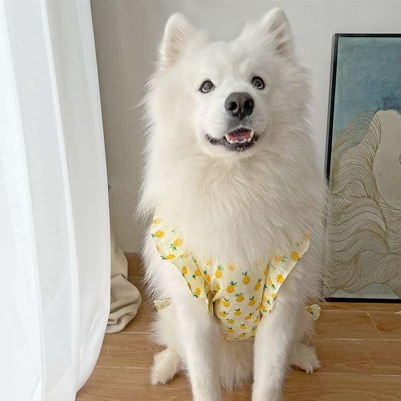 犬服 パイナップル柄 大型犬用ワンピース