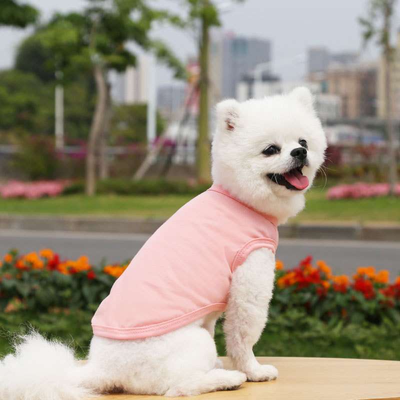 犬服 小型犬〜中型犬用Tシャツ