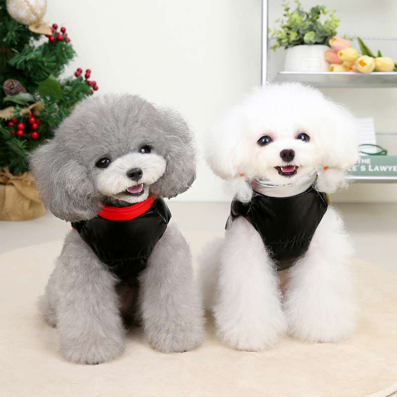 犬服 星型ワッペン付き中綿入りベスト