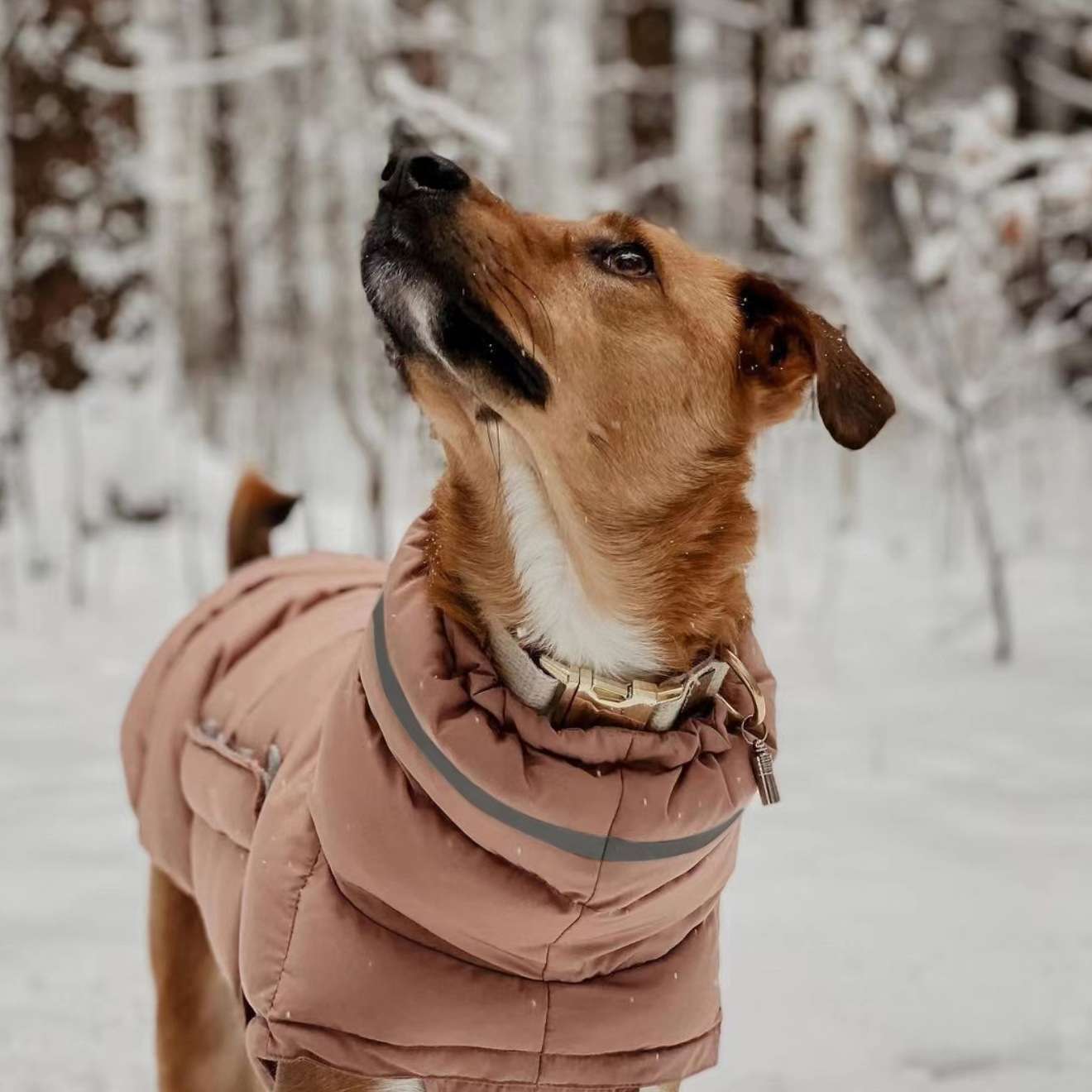 犬服 大型犬用防寒ジャケット