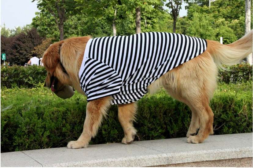 犬服 大型犬用ボーダー柄オーバーサイズTシャツ