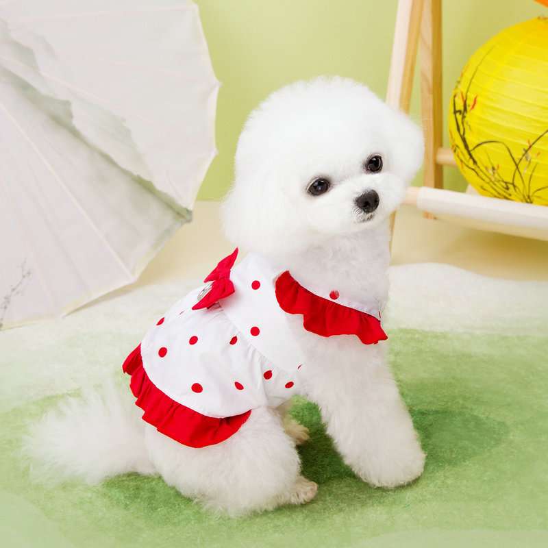 犬服 ふんわりポルカドット ワンピース