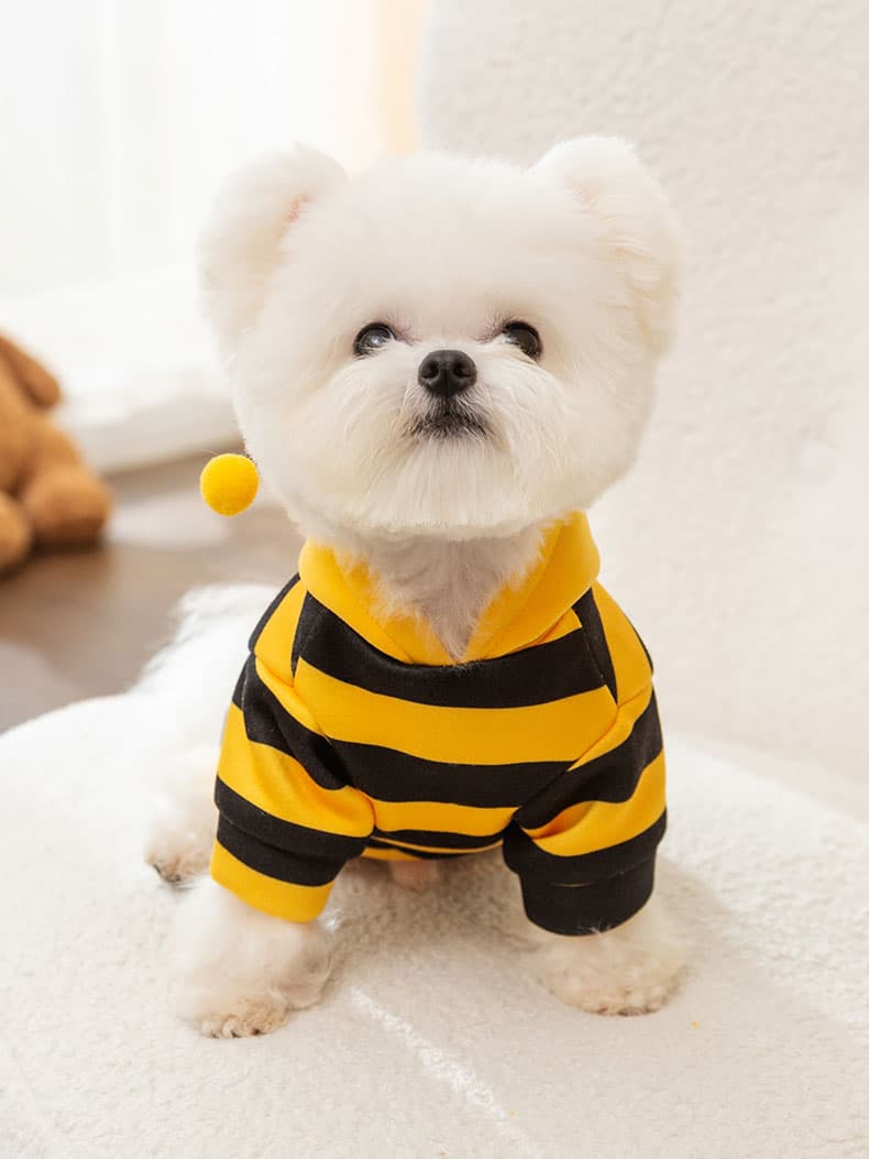 犬服 ミツバチ風ふわもこトレーナー