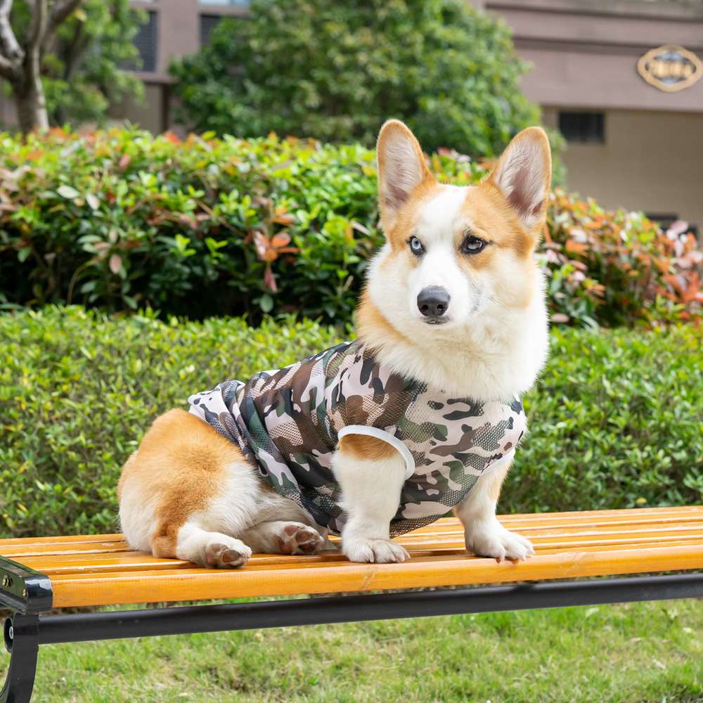 犬服 中型犬用おしゃれメッシュタンクトップ
