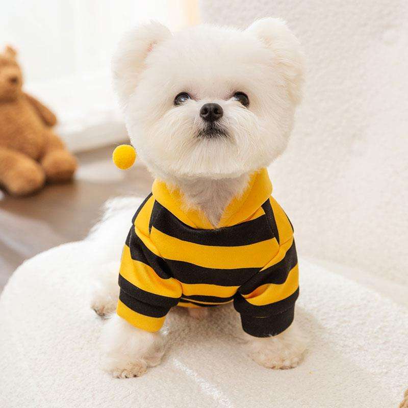 犬服 もこもこミツバチ風パーカー