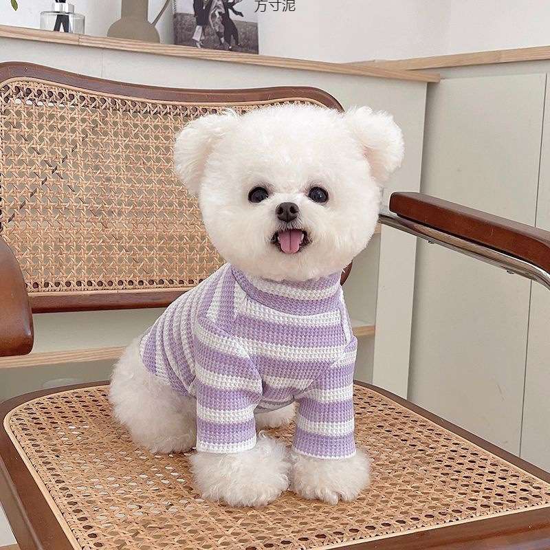 犬服 ふわもこ小型犬用ボーダーニットセーター
