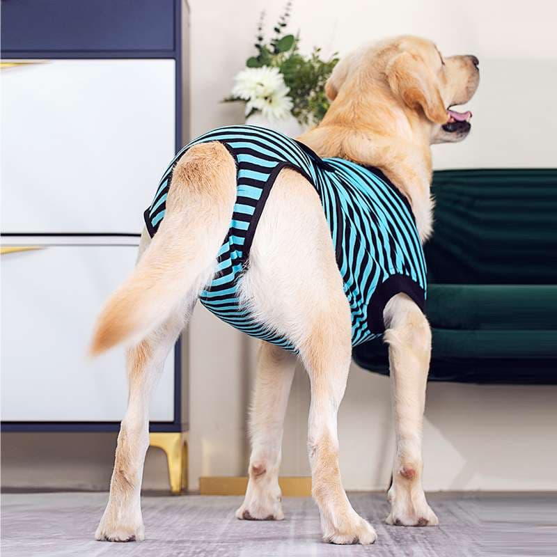 犬服 大型犬用ボーダー柄サマーベスト