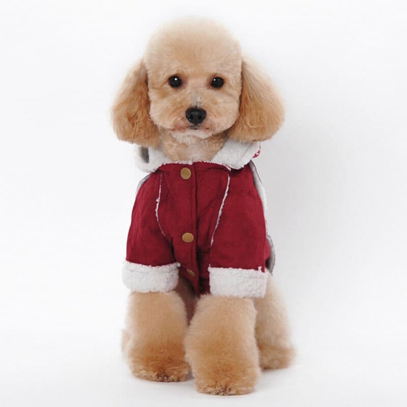 犬服 もこもこ裏地付き冬のあったかフード付きコート