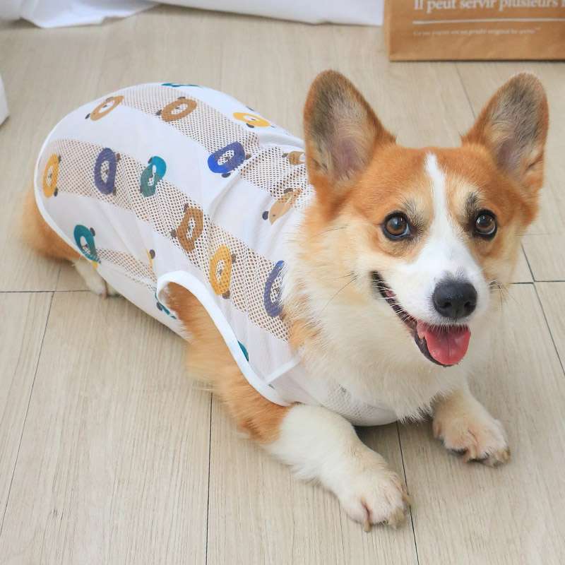 メッシュ素材の犬服