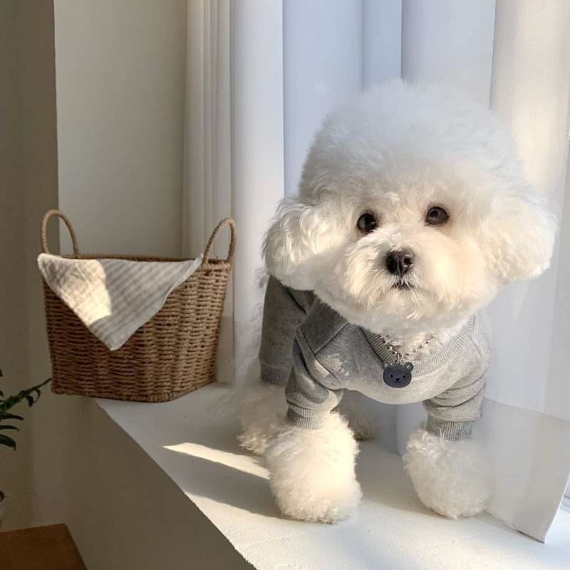 犬服 もこもこペット用重ね着風スウェット