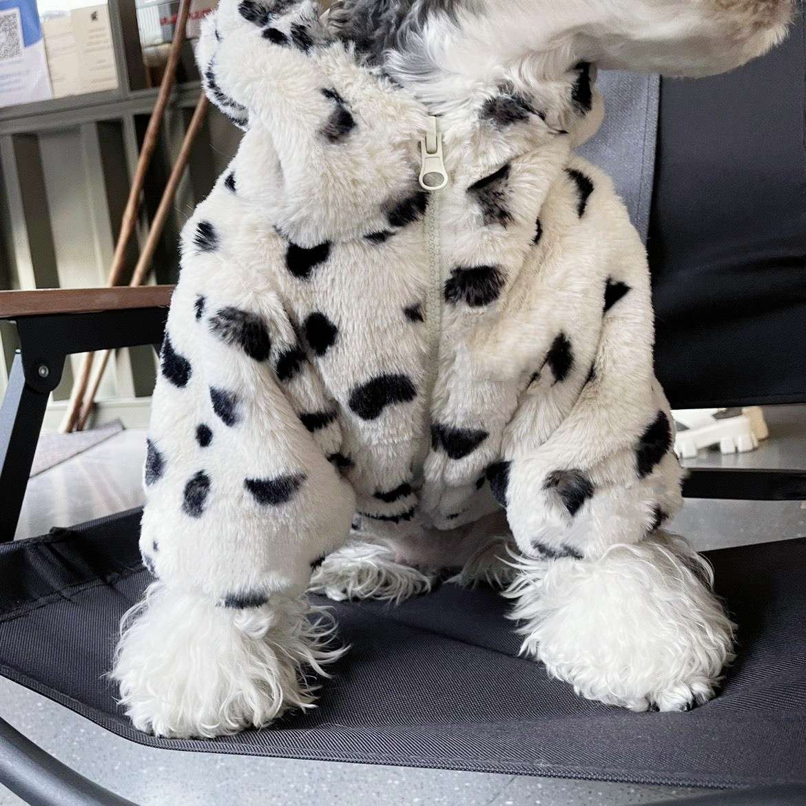 犬服 もふもふダルメシアン風コート