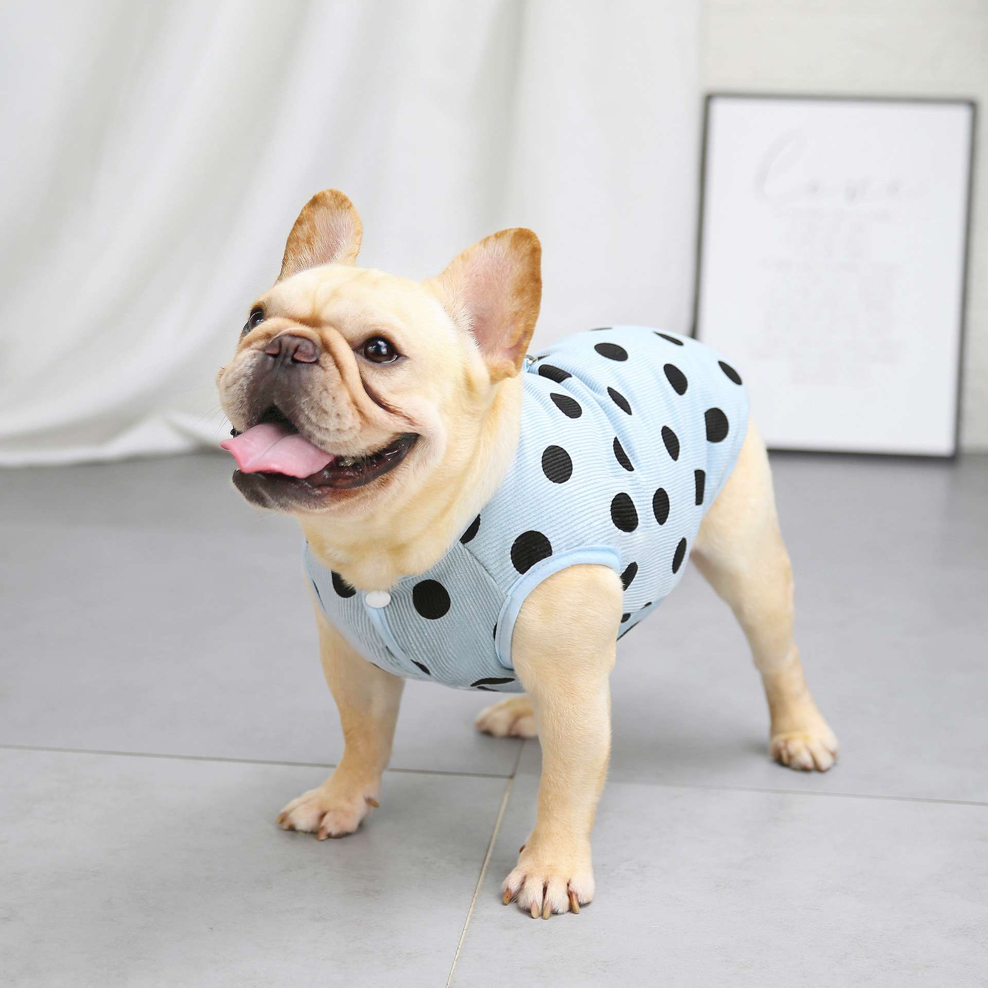 犬服 水玉模様の爽やかベスト