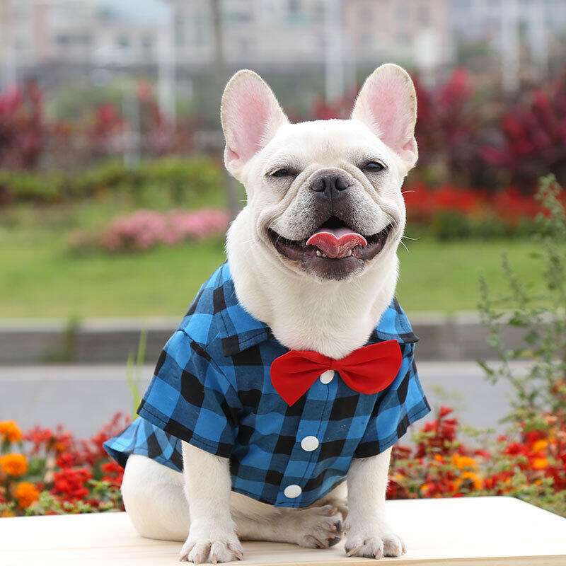 犬服 チェック柄おしゃれボウタイシャツ