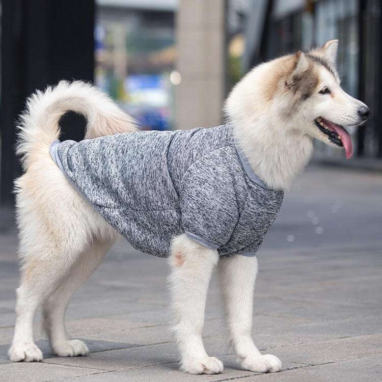 犬服 もこもこ素材の中型犬用ドッグウェア