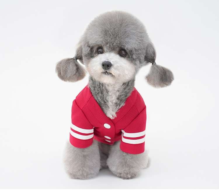 犬服 小型犬用スポーツウェア