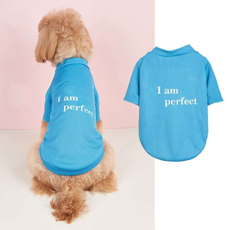 犬服 自信満々ペット用Tシャツ