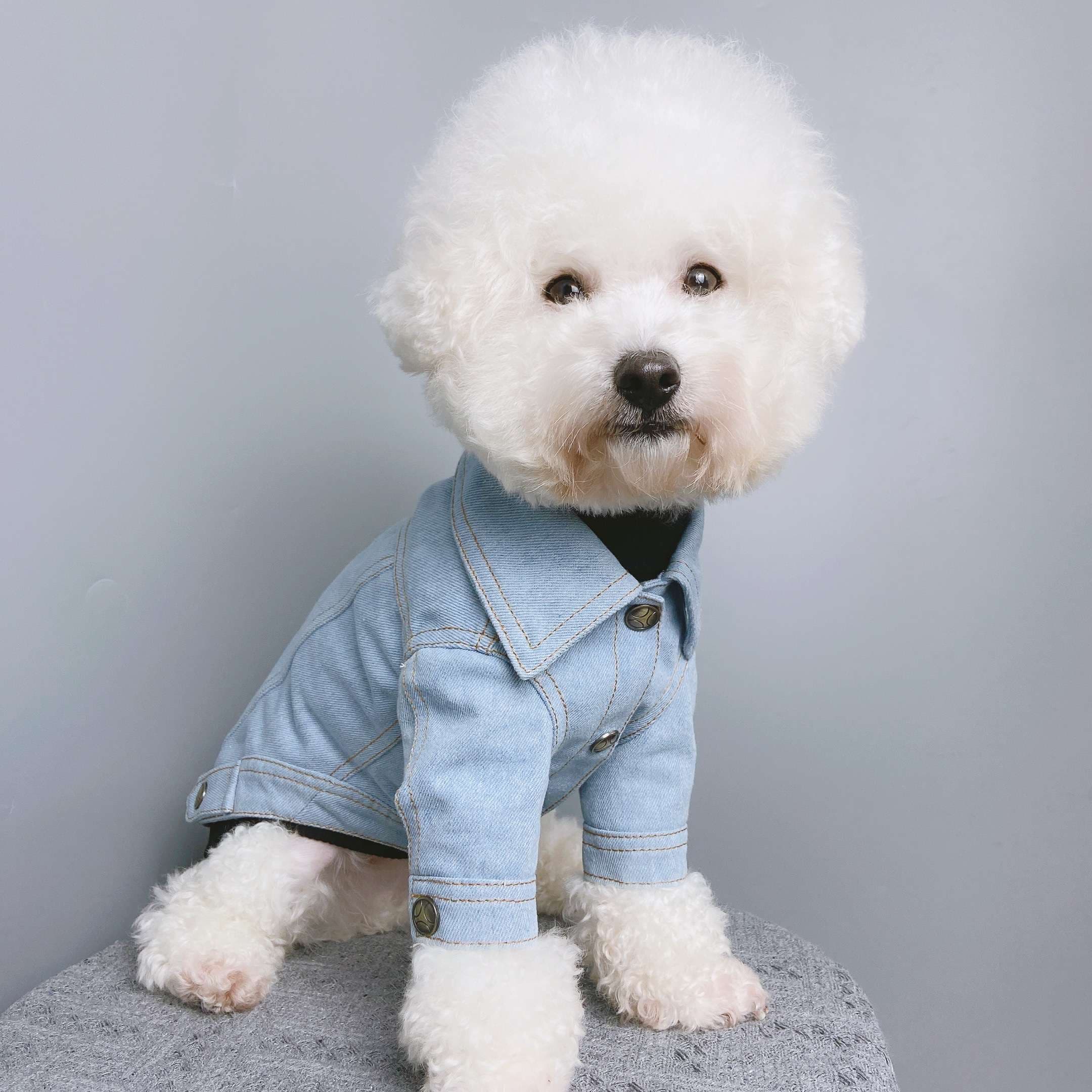 犬服 アウターわんちゃんのおしゃれデニムジャケット