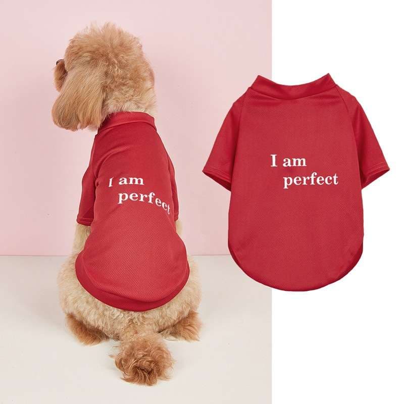 犬服 自信満々ペット用Tシャツ