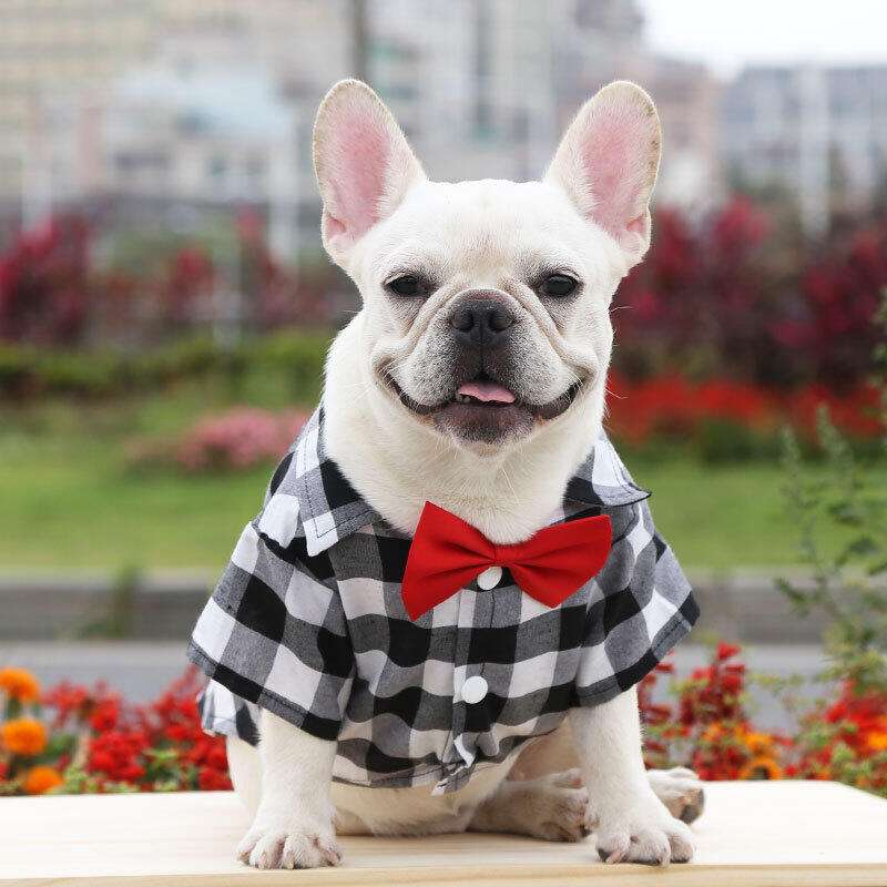 犬服 チェック柄おしゃれボウタイシャツ