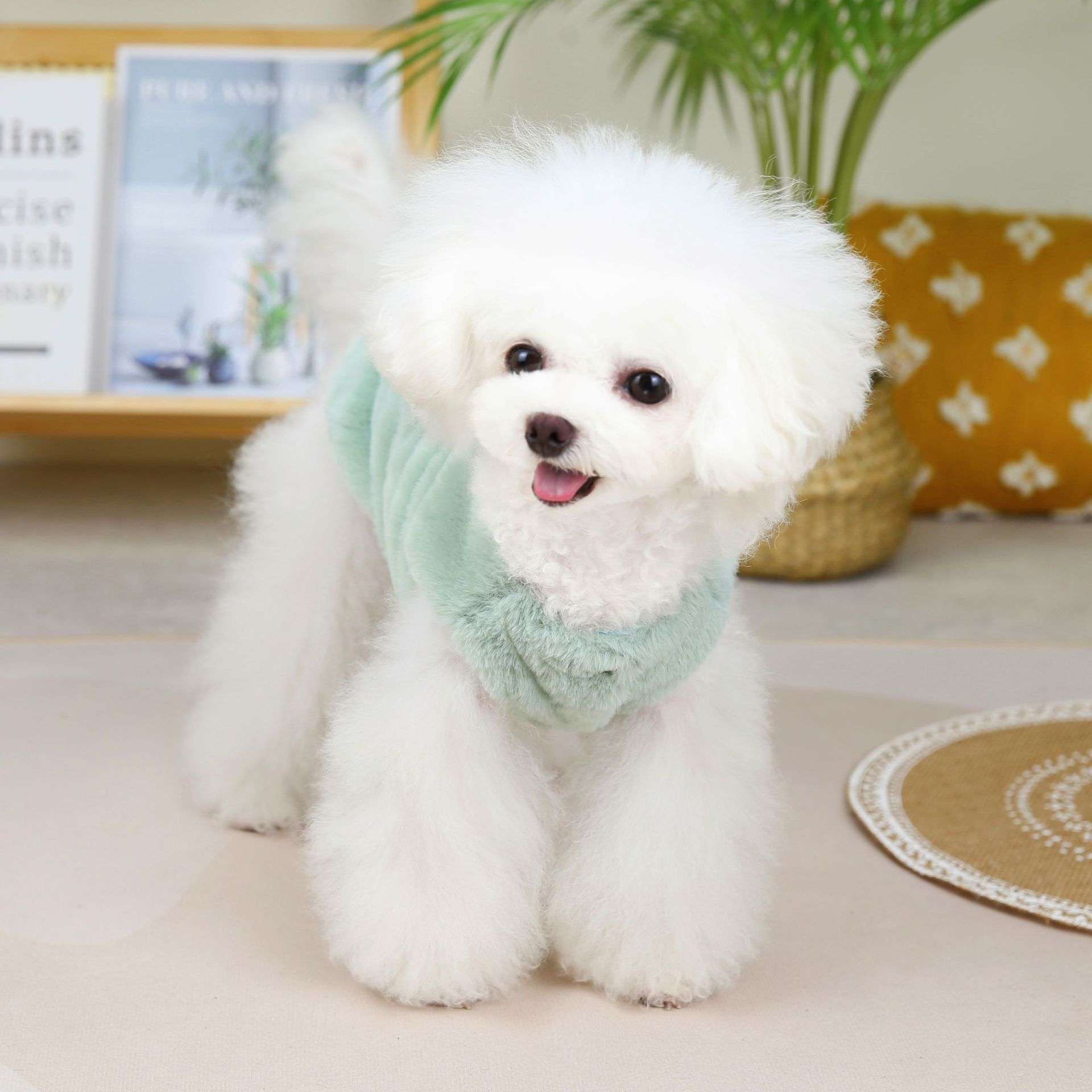 犬服 もこもこクマさん柄ペット用パーカー