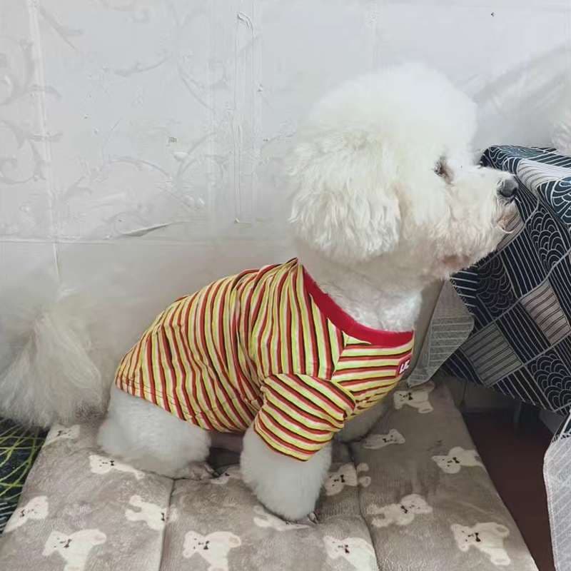 犬服 ボーダー柄の快適ドッグウェア