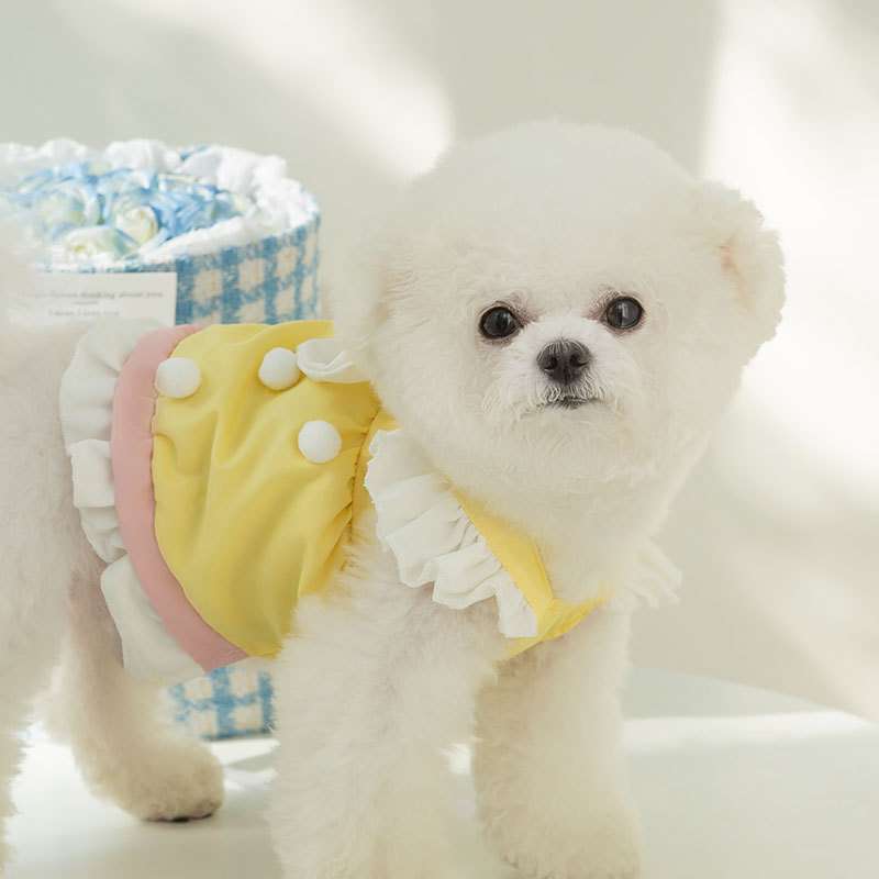 犬服 ふわもこわんちゃんのお姫様ドレス