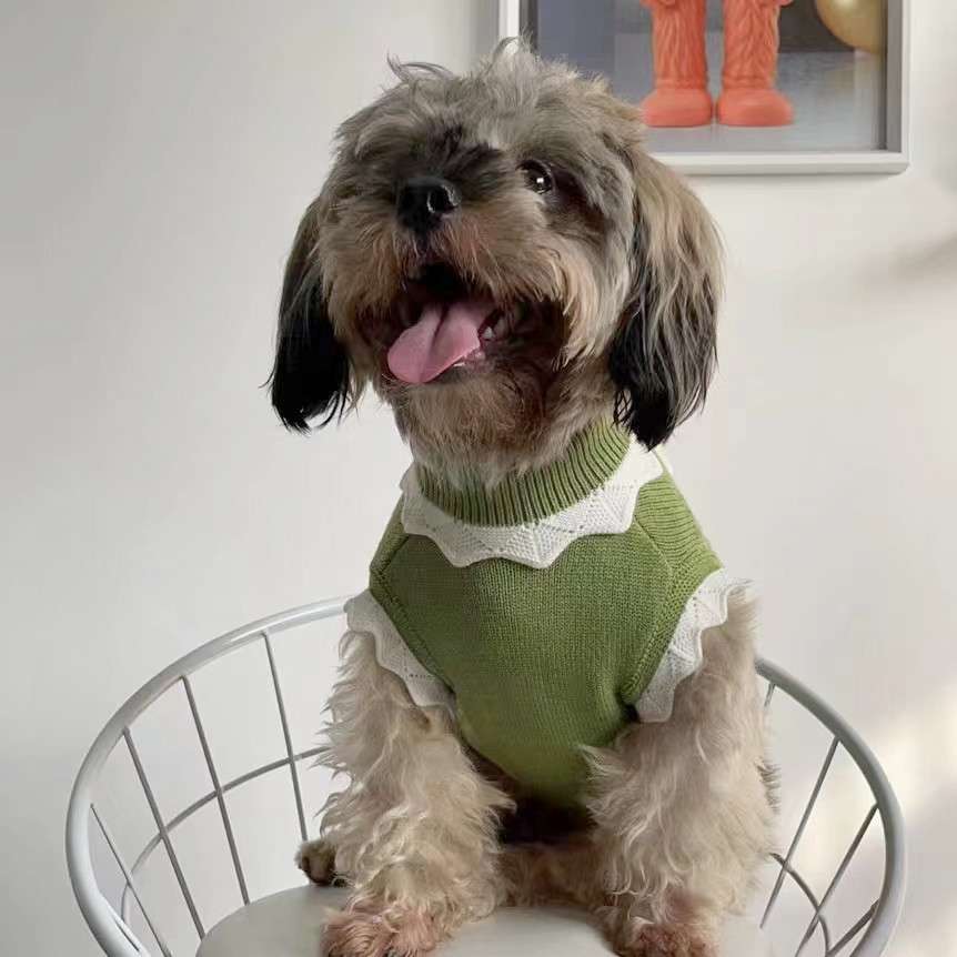 犬服 お花モチーフのニットセーター