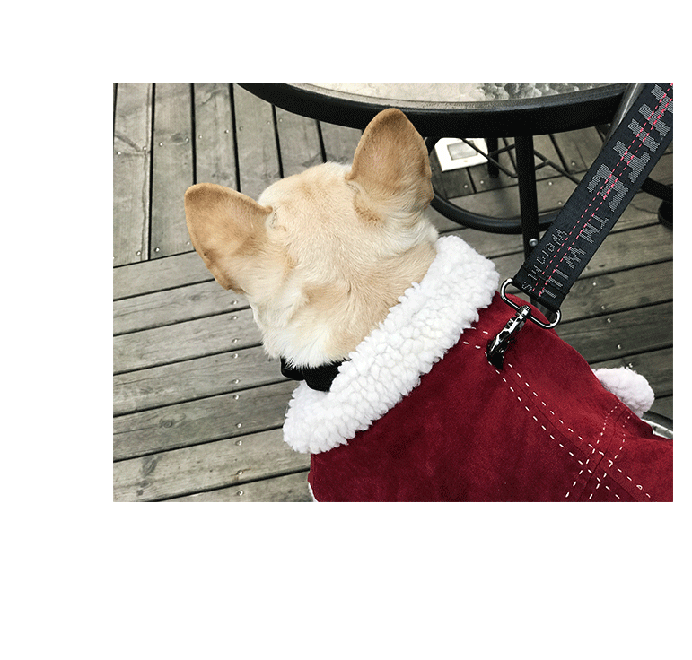 犬服 もこもこ襟付き防寒コート