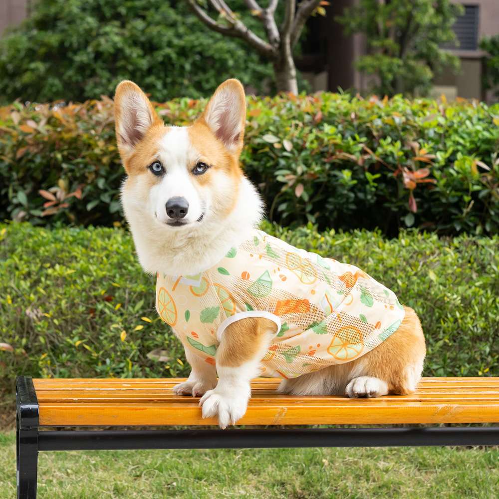 犬服 中型犬用おしゃれメッシュタンクトップ