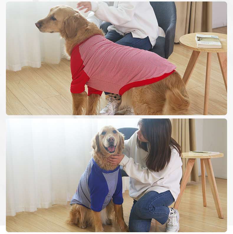 犬服 大型犬用爽やかストライプTシャツ