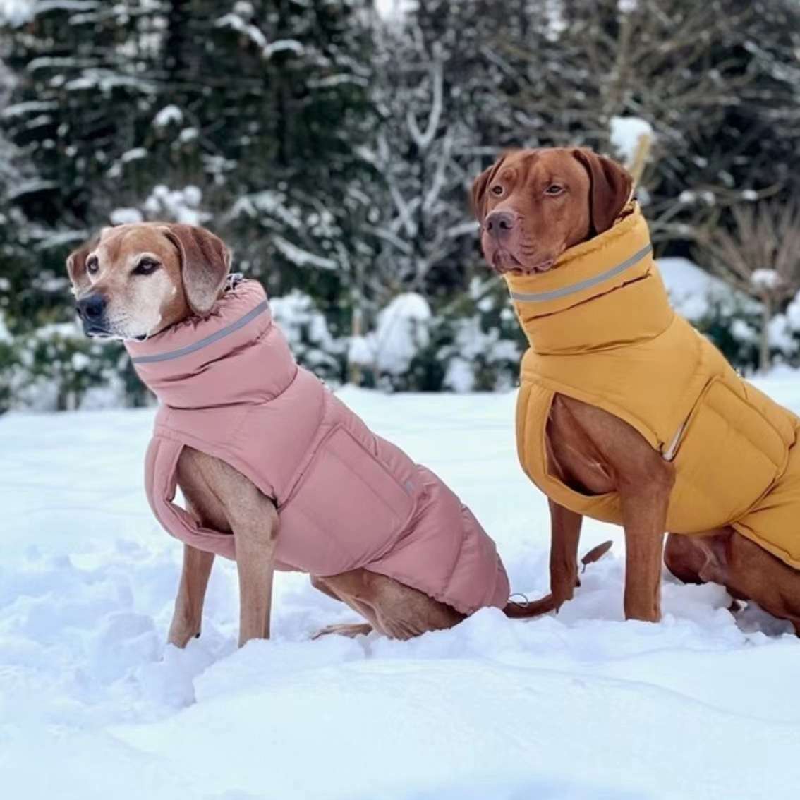 犬服 大型犬用防寒ジャケット