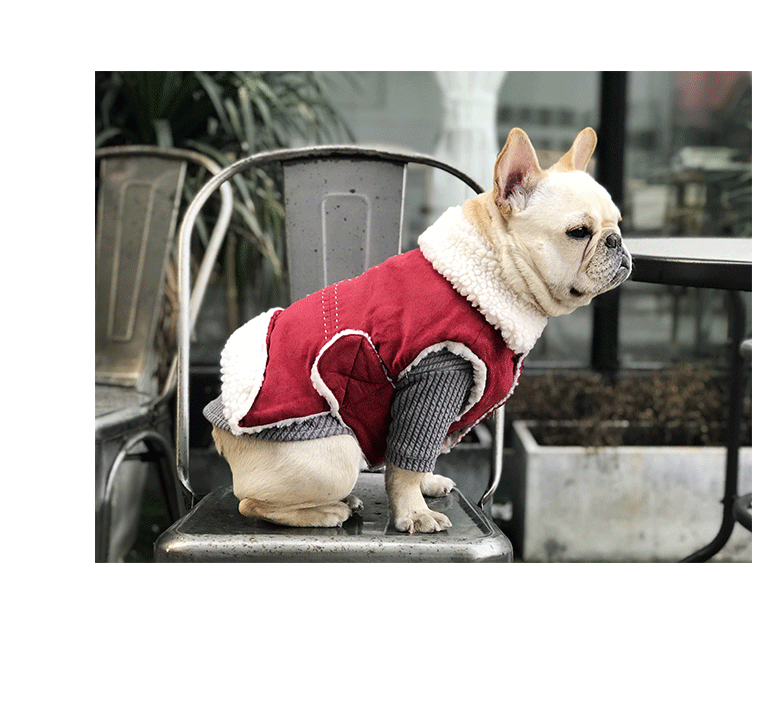 犬服 もこもこ襟付き防寒コート