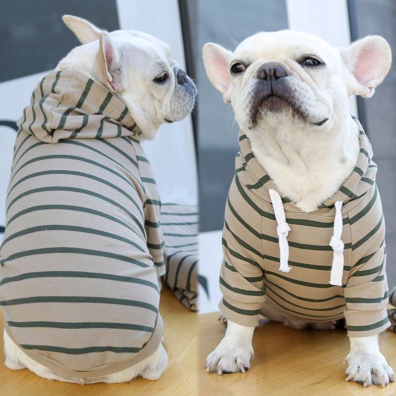 パーカー風ボーダー柄犬服