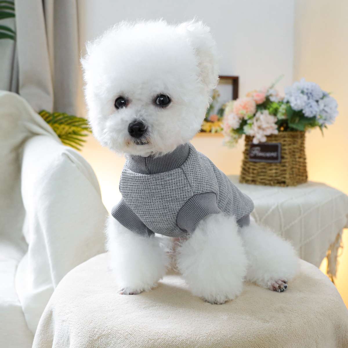 犬服 ふわもこわんちゃん用ニットセーター