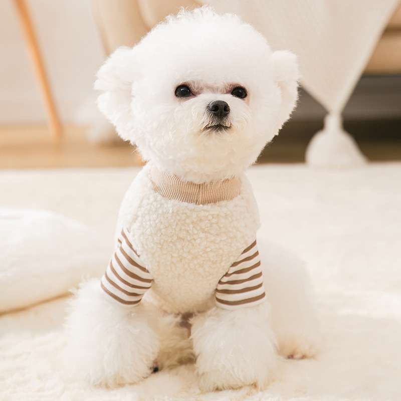 犬服 もこもこボーダー袖の小型犬用ニットウェア