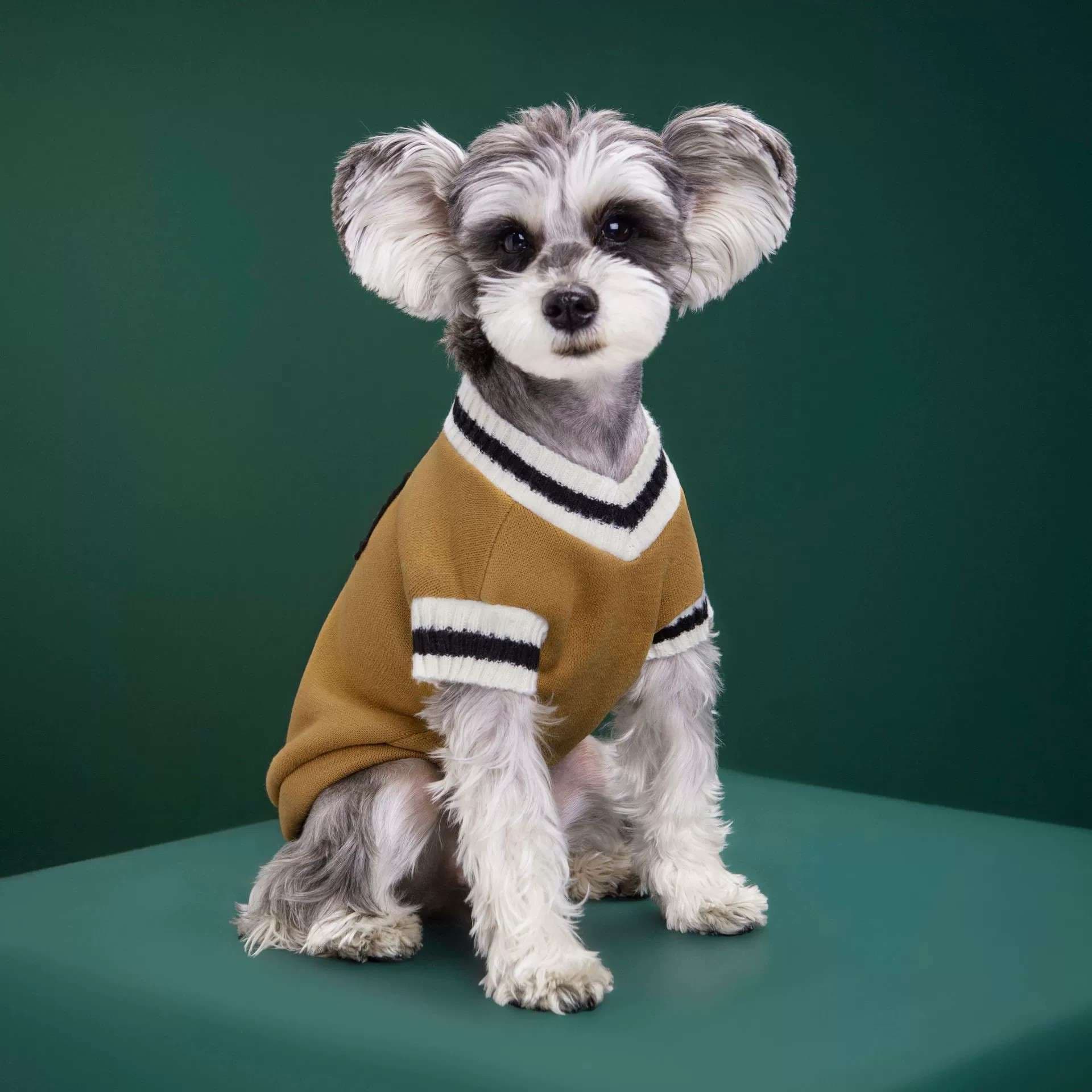 犬服 スポーティー小型犬用セーター
