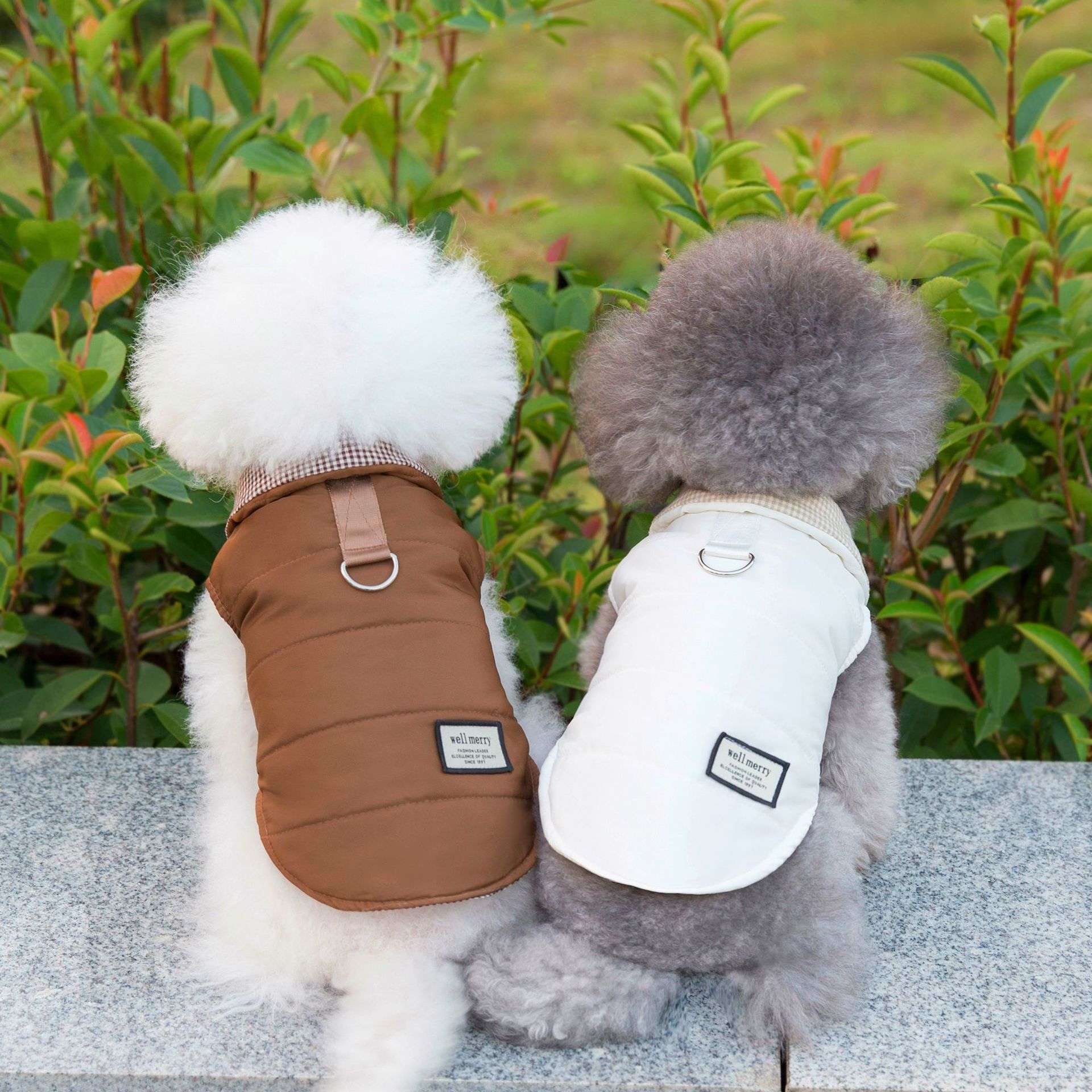 犬服 お散歩服アウターベスト