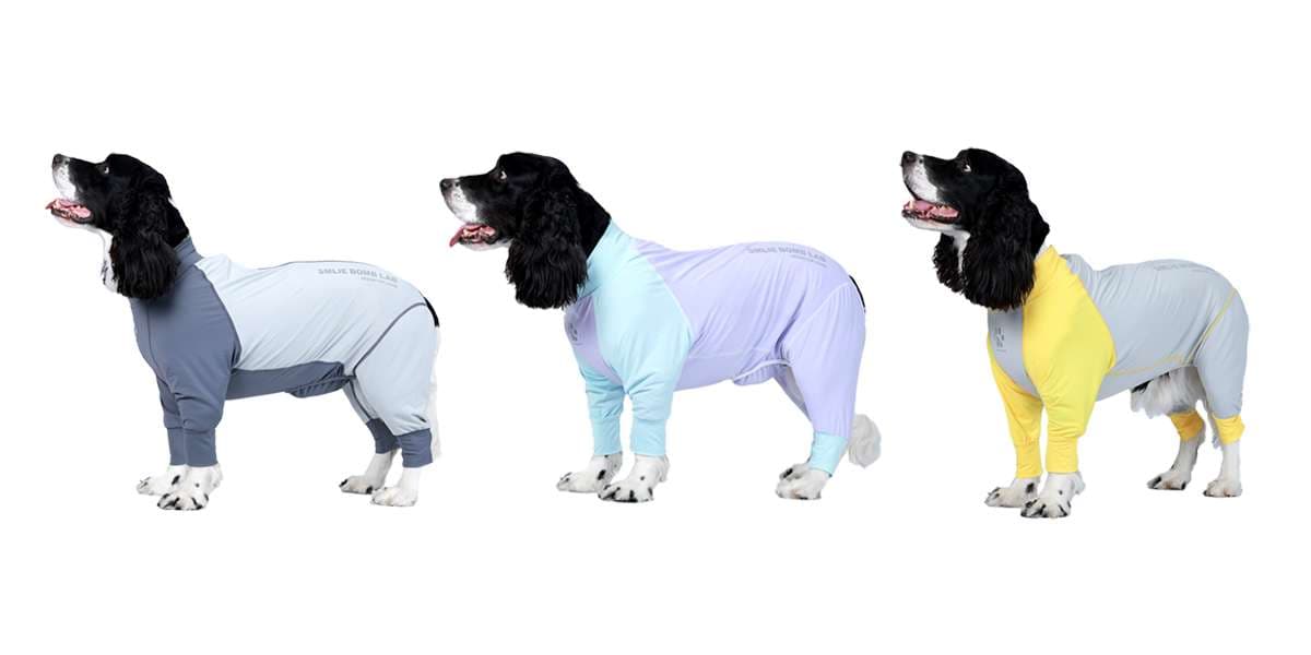 犬服 もこもこワンちゃん専用スポーツウェア