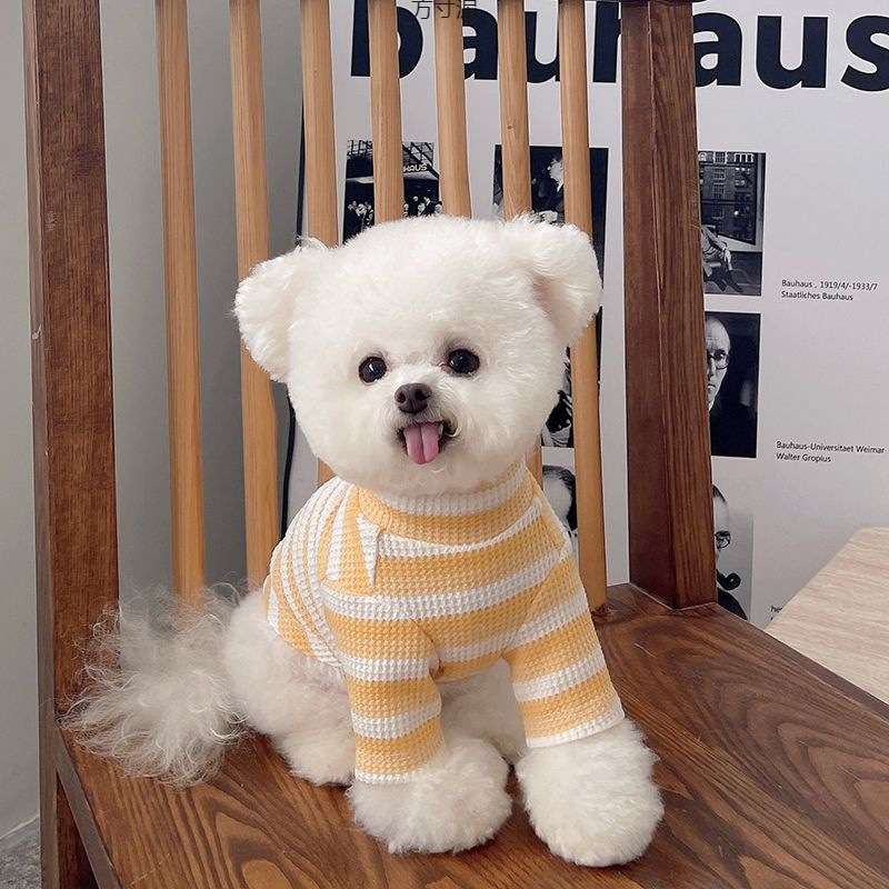 犬服 ふわもこ小型犬用ボーダーニットセーター