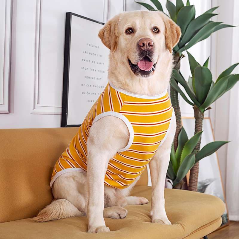 犬服 大型犬用ストライプタンクトップ