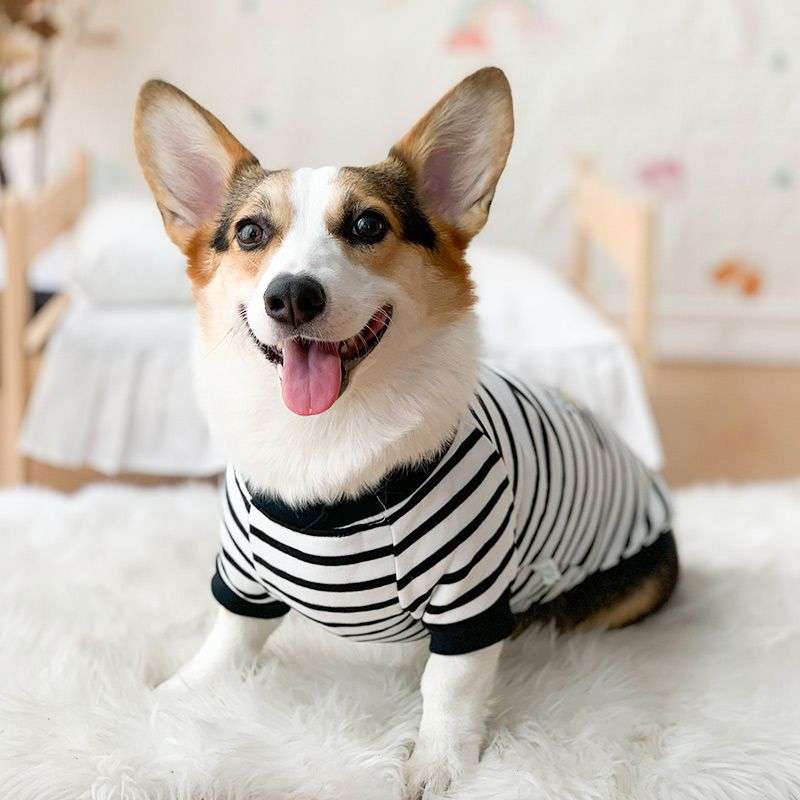 犬服 もこもこ素材の小型〜中型犬用ルームウェア